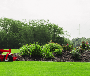 Read more about the article How did they mow lawns before lawn mowers?