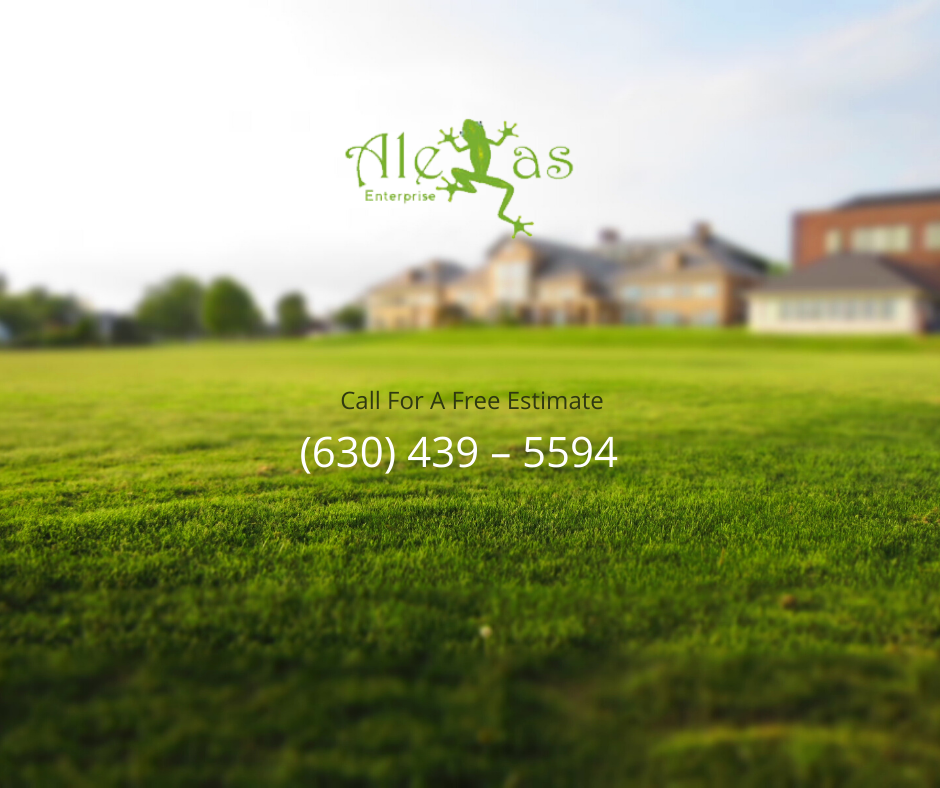 Lawn Mowing St. Charles