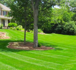 Aurora IL Residential Landscaping